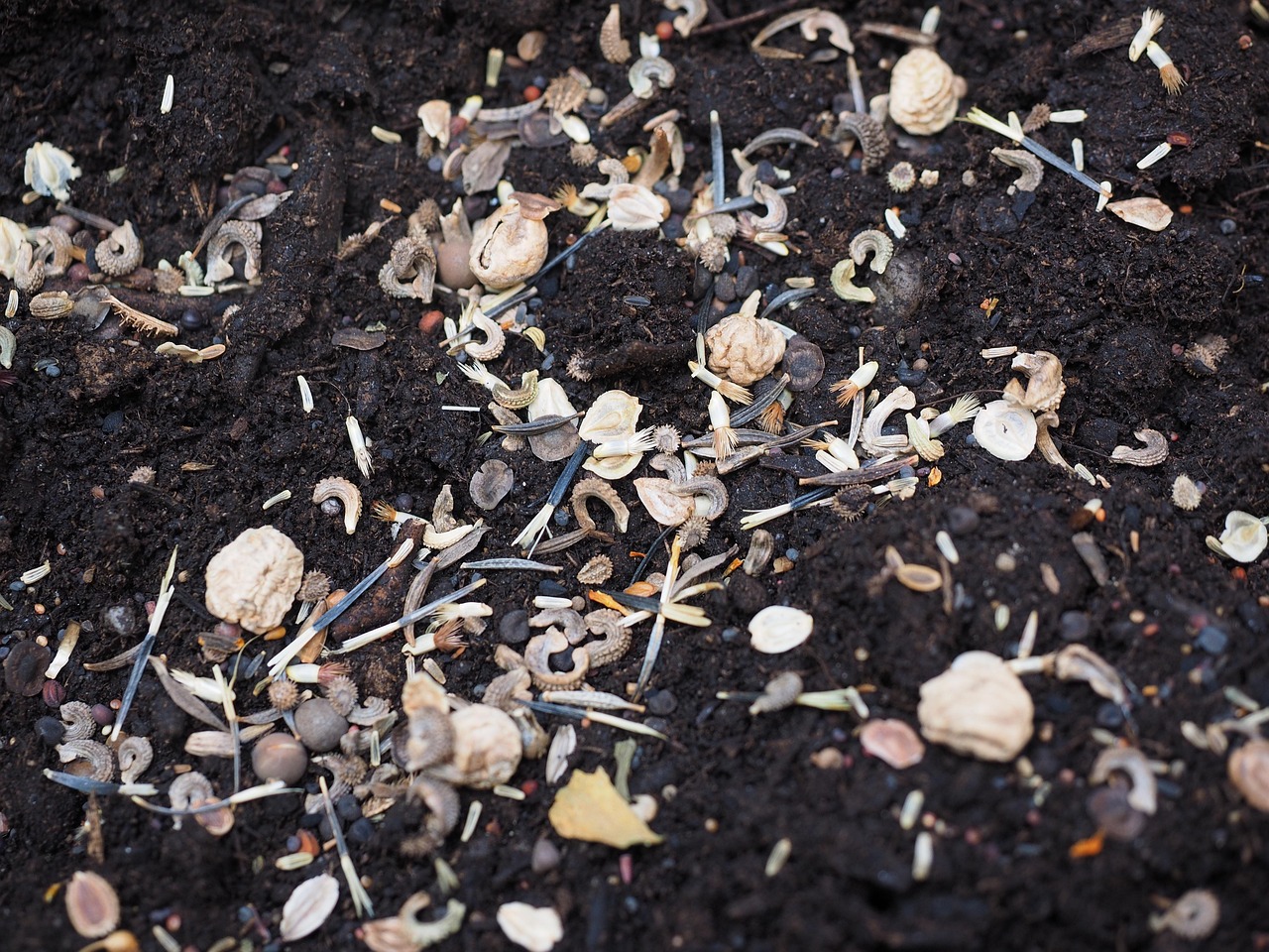 5 motivi per cui non dovresti utilizzare la semina tradizionale per il tuo giardino