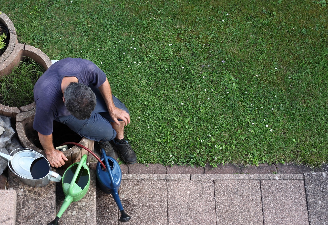 HydroGrass: il prodotto che trasforma il tuo giardino in un'oasi verde [Aggiornato]